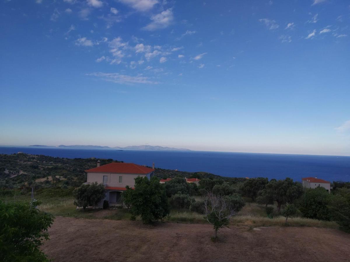 Ellina'S Home - Euboea Island Greece Oxílithos Exterior foto